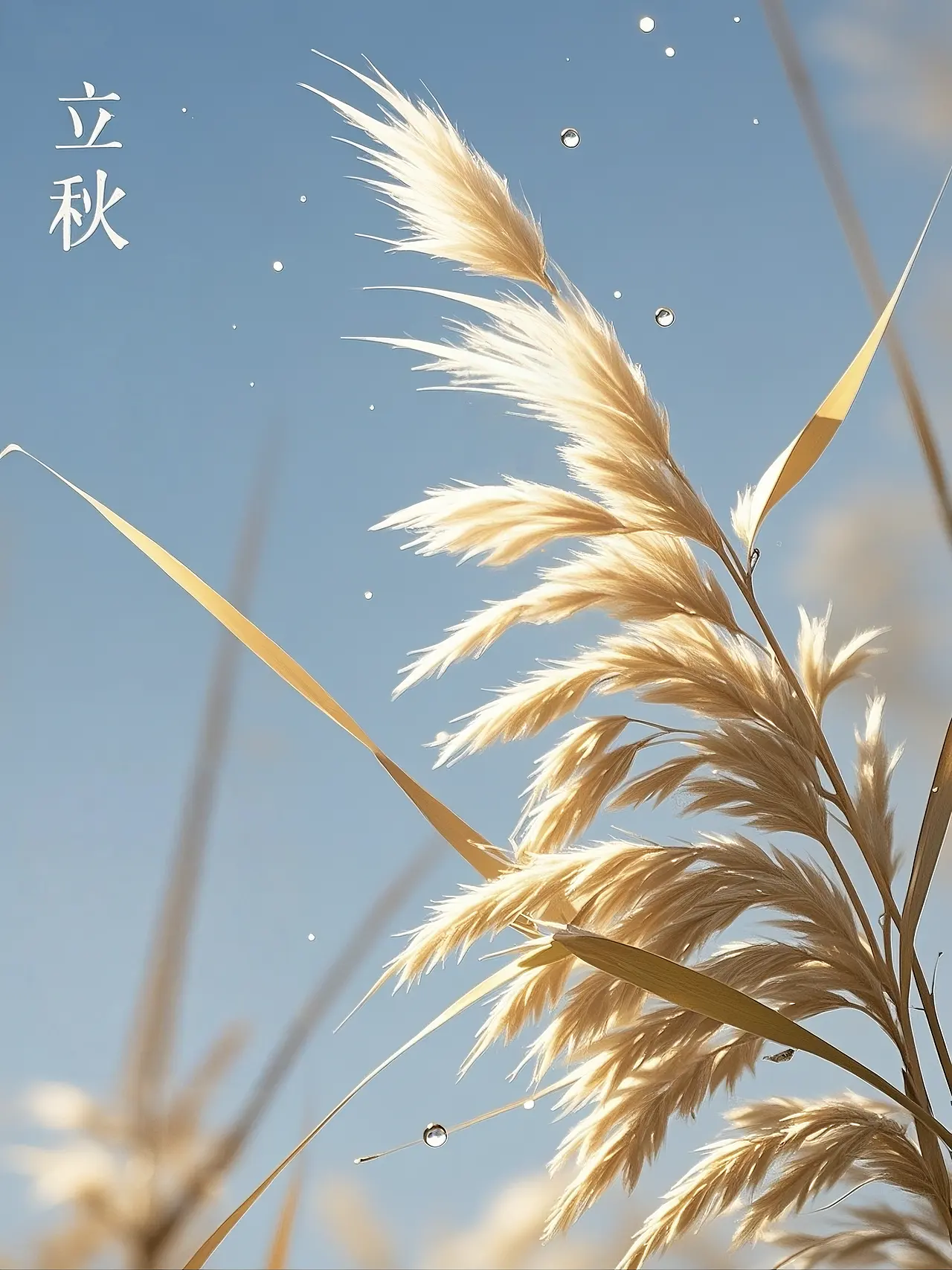 Chinese astronomy autumn — the 24 solar terms calendar marking when autumn starts in China