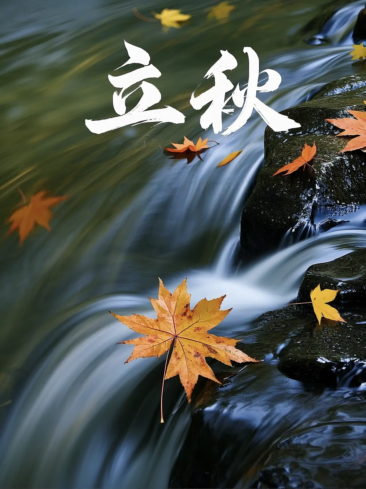 Chinese astronomy autumn — the 24 solar terms calendar showing Start of Autumn in August