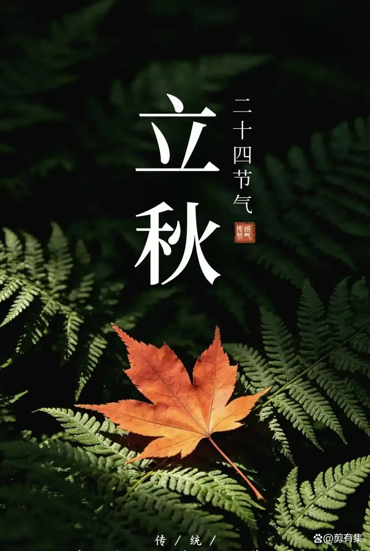 Chinese autumn calendar — seasonal energy shifts from expansion to contraction at Start of Autumn