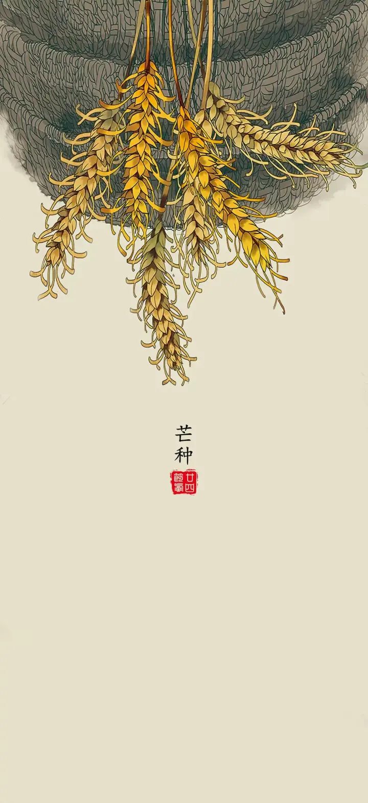 Grain in Ear — 芒种