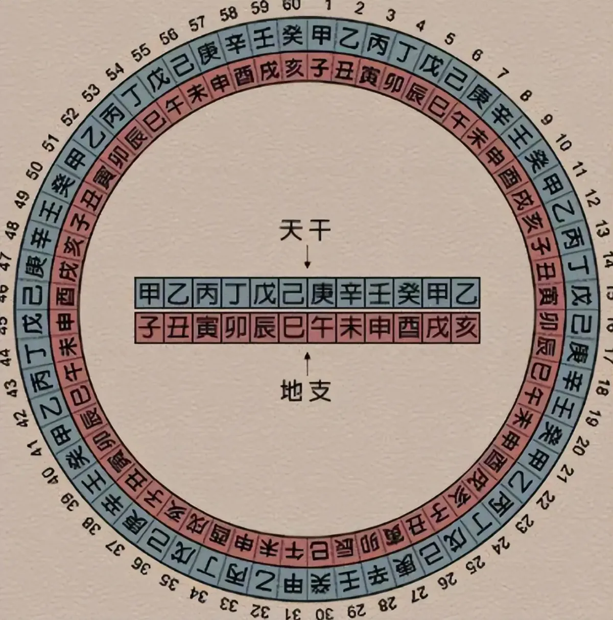 Heavenly stems and earthly branches cycle diagram — the sexagenary system that numbers days in the traditional Chinese calendar