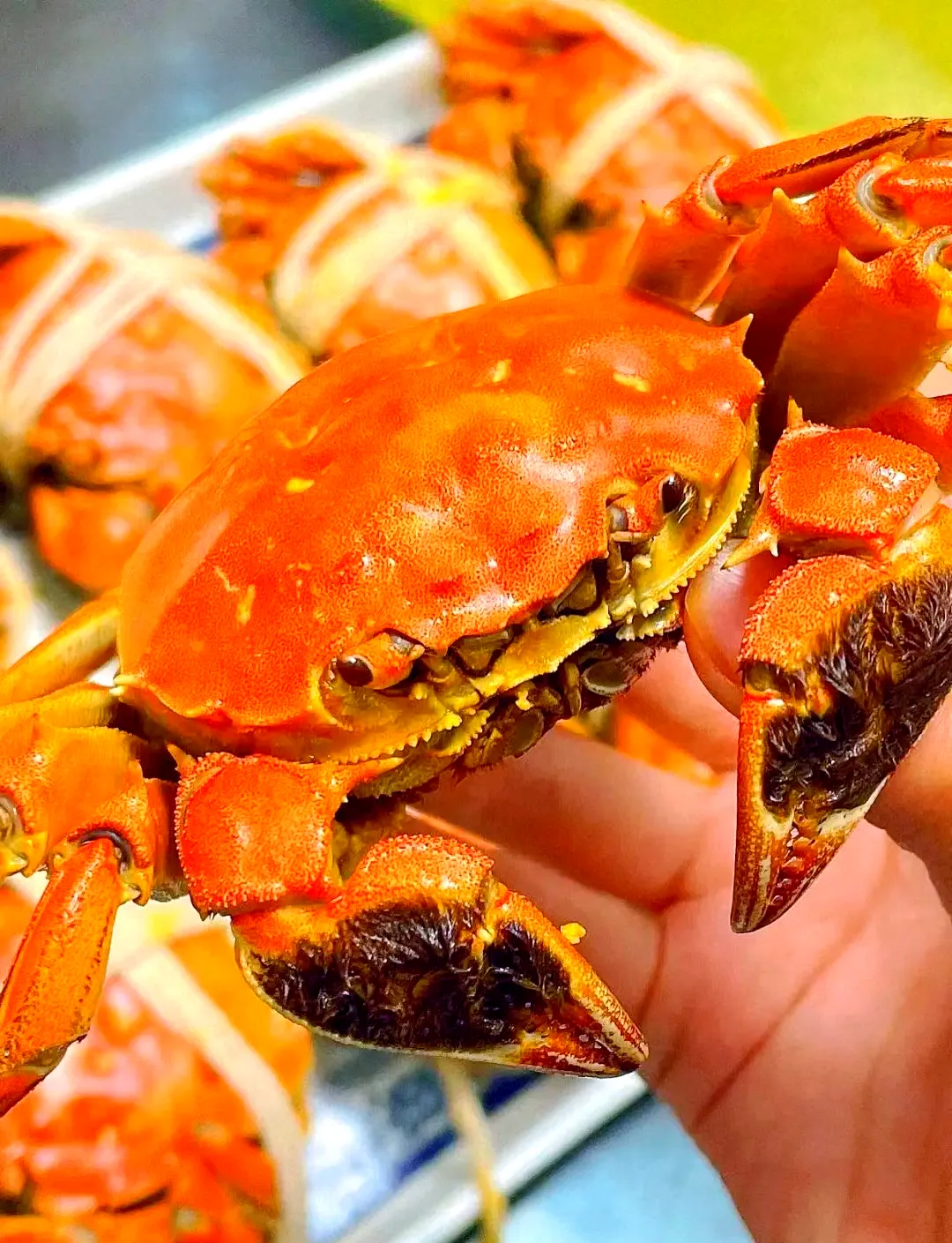 Hairy crab on a Mid-Autumn table — the classic autumn harvest delicacy served at the festival