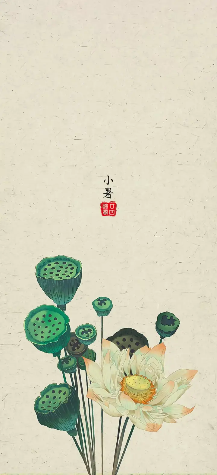 Minor Heat — 小暑