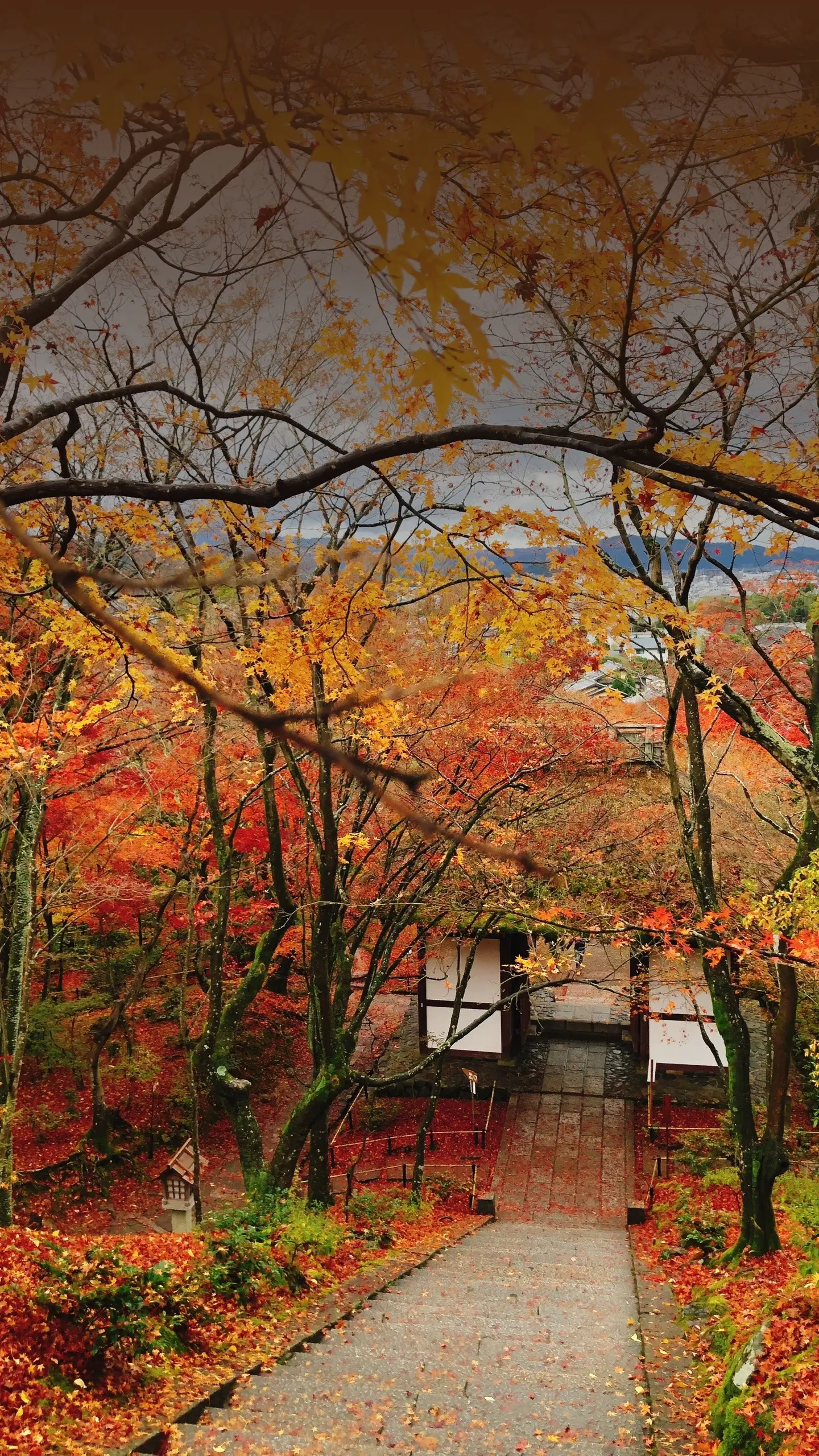 Autumn start date comparison — meteorological September 1, astronomical September 22-23, solar term August 7-8